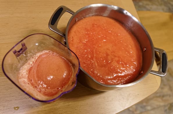 Соковыжималка Tribest Slowstar SW-2000