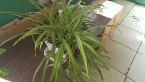 Обзор смартфона HTC One