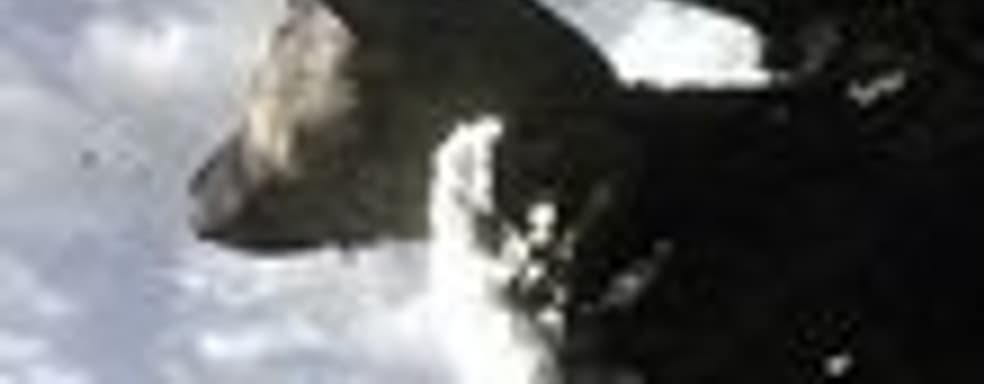 Фумито Уеда о Torico