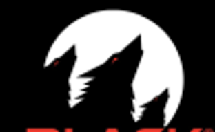 THQ Nordic приобрела студию разработки Black Forest Games