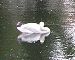 фрагмент 1:1