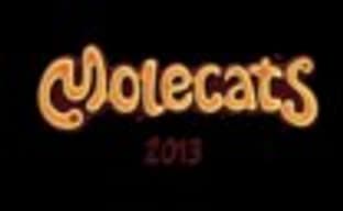 Molecats в этом году