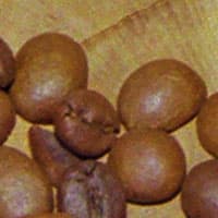 фрагмент 1:1