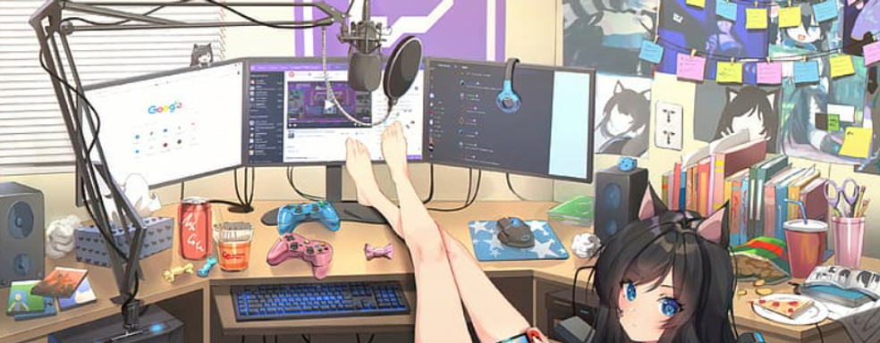 Девушки-геймеры в России выбирают гонки и разнообразные симуляторы