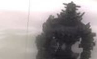 Слух: Team ICO Collection через год