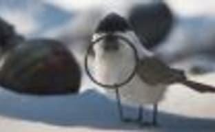 PUBG возрождается? В проект вновь одновременно играет более миллиона человек в Steam