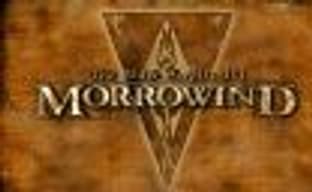 Глава Bethesda против создания ремастера Morrowind