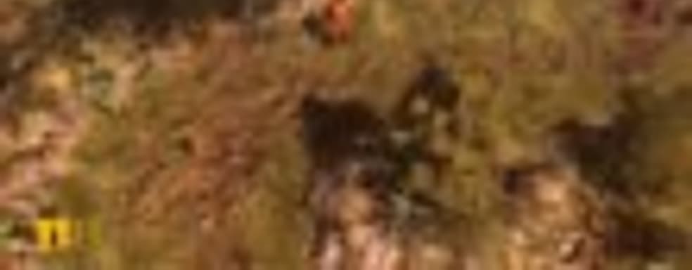 How to Survive: Storm Warning Edition для PS4 в продаже