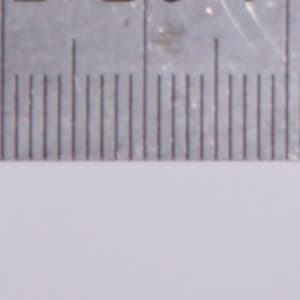 Шкала Шкала