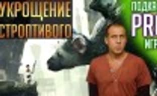 [4.45] PRO Games Podcast: Taming the Shrew