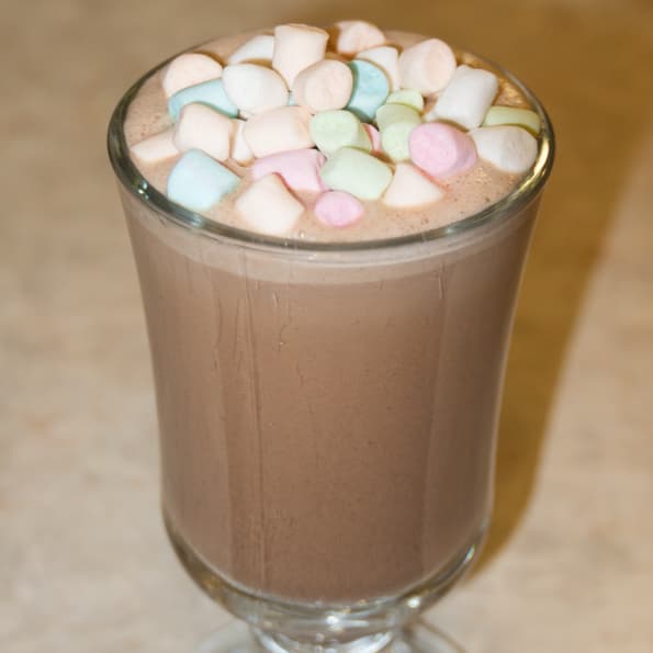 Profi Cook PC-MS 1032