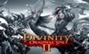 Divinity: Original Sin 2 выполнила все цели на Kickstarter