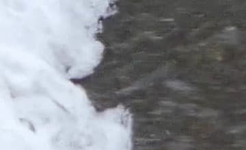 Видеосъемка фотоаппаратом Panasonic DMC-FZ300