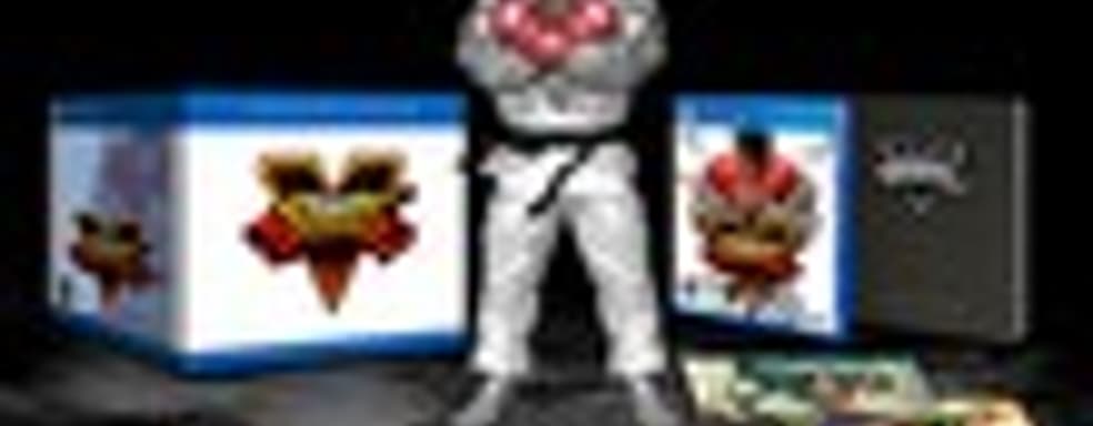 Содержимое Street Fighter V Collector’s Edition