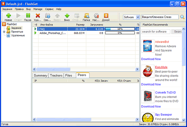 Главное окно FlashGet
