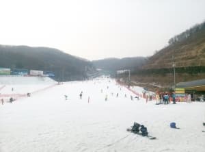 Обзор LG Optimus G