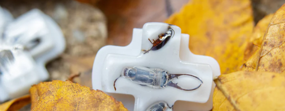 Для Steam Deck представили прозрачные крестовины с мёртвыми жуками внутри