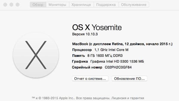Скриншот с 12-дюймового ноутбука Apple MacBook Retina (Early 2015)