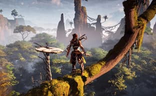 Слухи о том, что на ПК вышла отладочная версия Horizon Zero Dawn не подтвердились