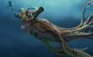 Проблемы с Subnautica из магазина Epic? Форумы Steam вам помогут!