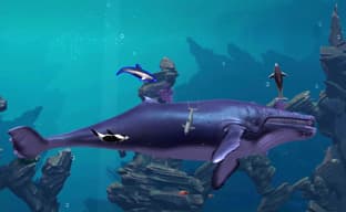 Dolphin Quest создаётся командой разработчиков Ecco The Dolphin. Игру показали на Intellivision E3 2021