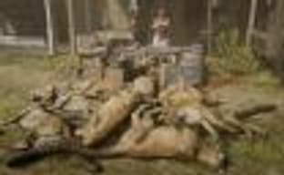 Игроки в Red Dead Online зарабатывают на клонировании пум