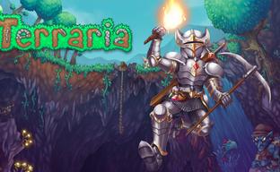 Создателя Terraria забанили в Google