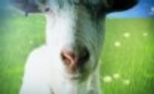 Goat Simulator выйдет на Xbox One и Xbox 360 в апреле