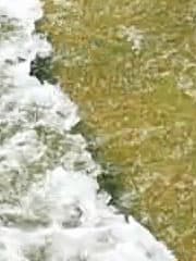 Видеосъемка фотоаппаратом Leica SL (Typ 601)