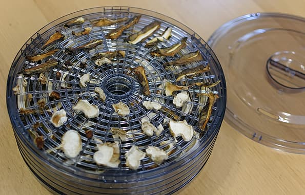 Электрическая сушилка Mystery MDH-321