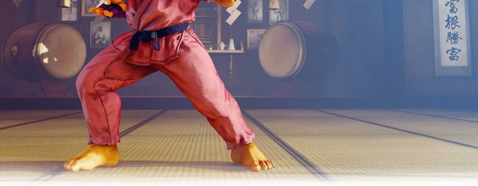 Появился бесценный ресурс для фанатов файтингов. Ветеран жанра создал глоссарий