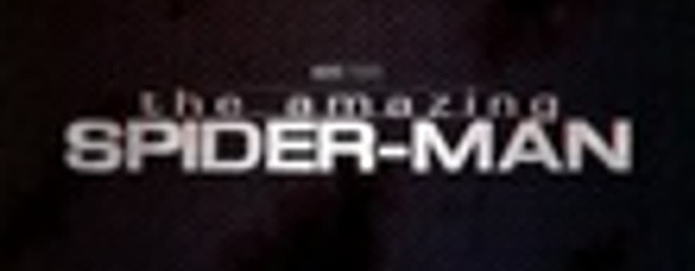 Подробности о The Amazing Spider-Man на VGA