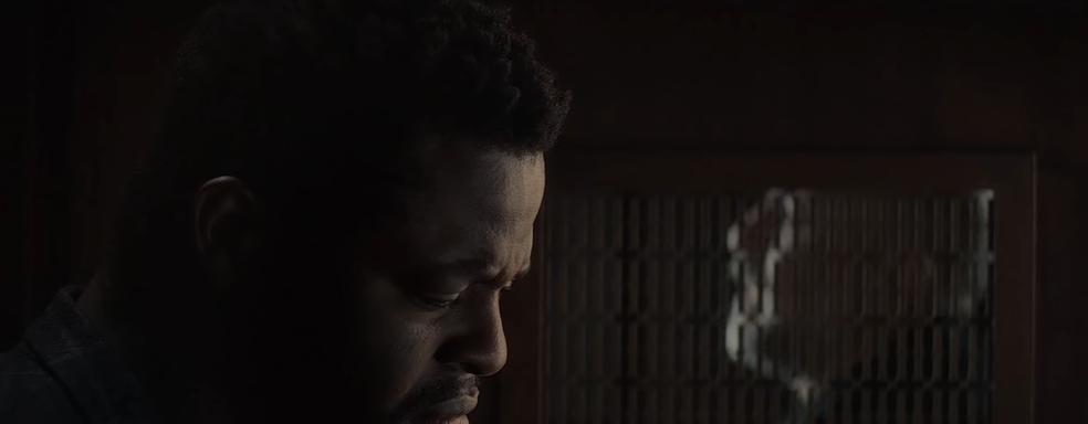 Появился новый трейлер ремастера Diablo 2 с звездой фильма «Черная пантера»