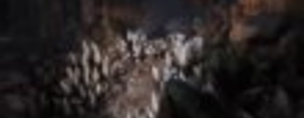 Новые геймплейные ролики Evolve