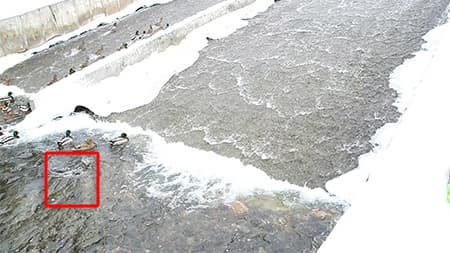 Видеокамера Canon EOS C100