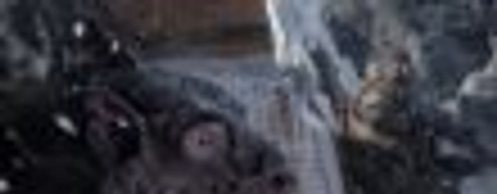 Глава группы компаний THQ Nordic AB полностью поддерживает решение Koch Media насчёт Metro Exodus