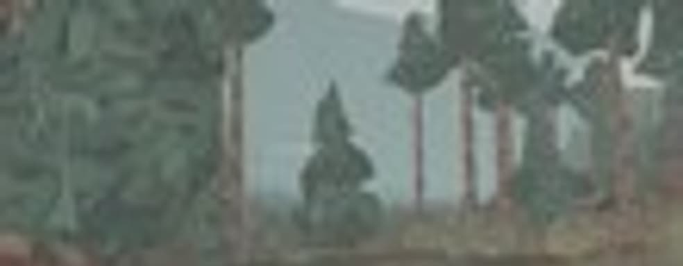 Дата выхода Shelter