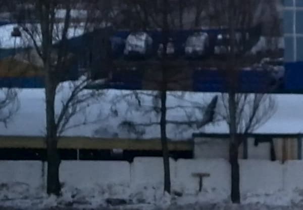 Фотография, сделанная на тыловую камеру планшета Huawei MediaPad 10 FHD