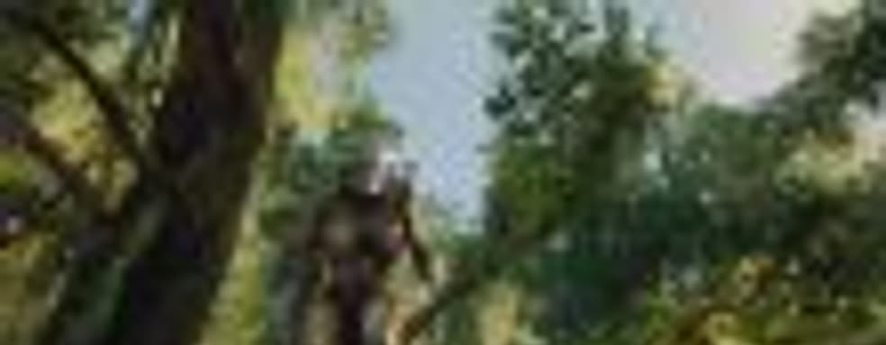 Predator: Hunting Grounds: дата выхода и игровой процесс