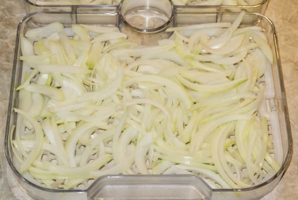 Дегидратор Gochu D-310