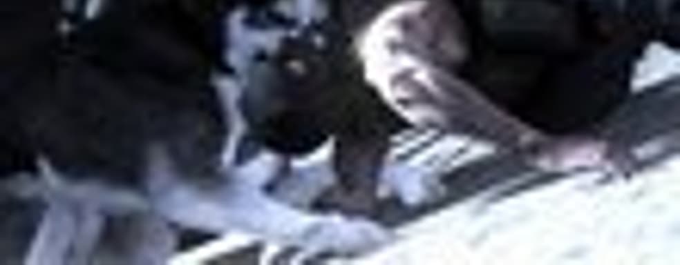 Трейлер Dead to Rights: Retribution