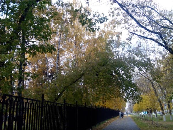 Фотографии с планшета Prestigio Multipar 4 Ultimate 8.0