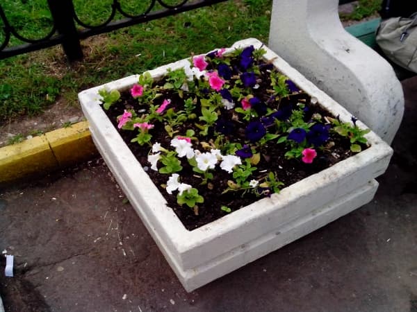 примеры снимков Zopo ZP100