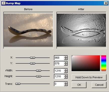 FastStone Image Viewer 