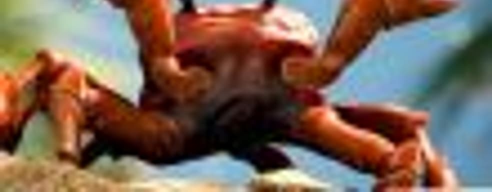 Вот так выглядит вечеринка крабов в Battlefield V