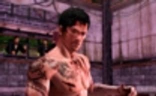 Sleeping Dogs: The Zodiac Tournament в продаже