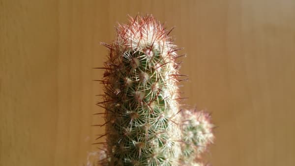 обзор смартфона Sony Xperia ZL