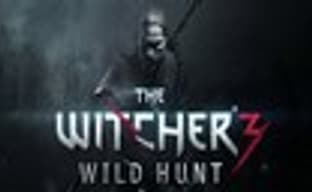 30% копий The Witcher 3: Wild Hunt купили РС-геймеры