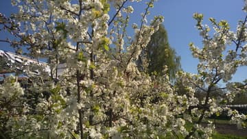 Видеосъемка смартфоном. HTC One M9 Plus