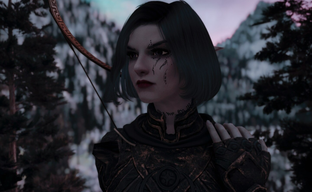 «Отныне Skyrim не игра» Хит Bethesda превратили в шутер с видом от третьего лица